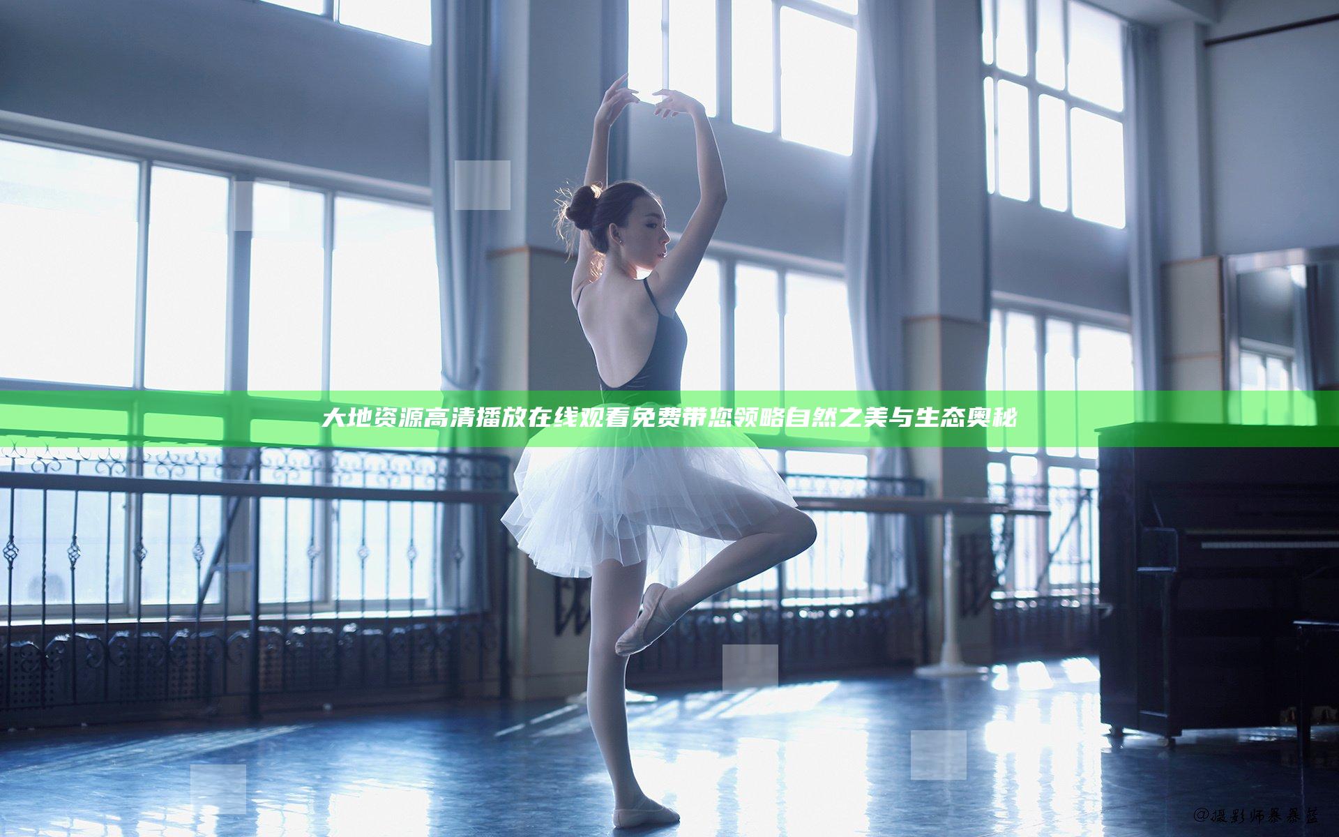 大地资源高清播放在线观看免费 带您领略自然之美与生态奥秘