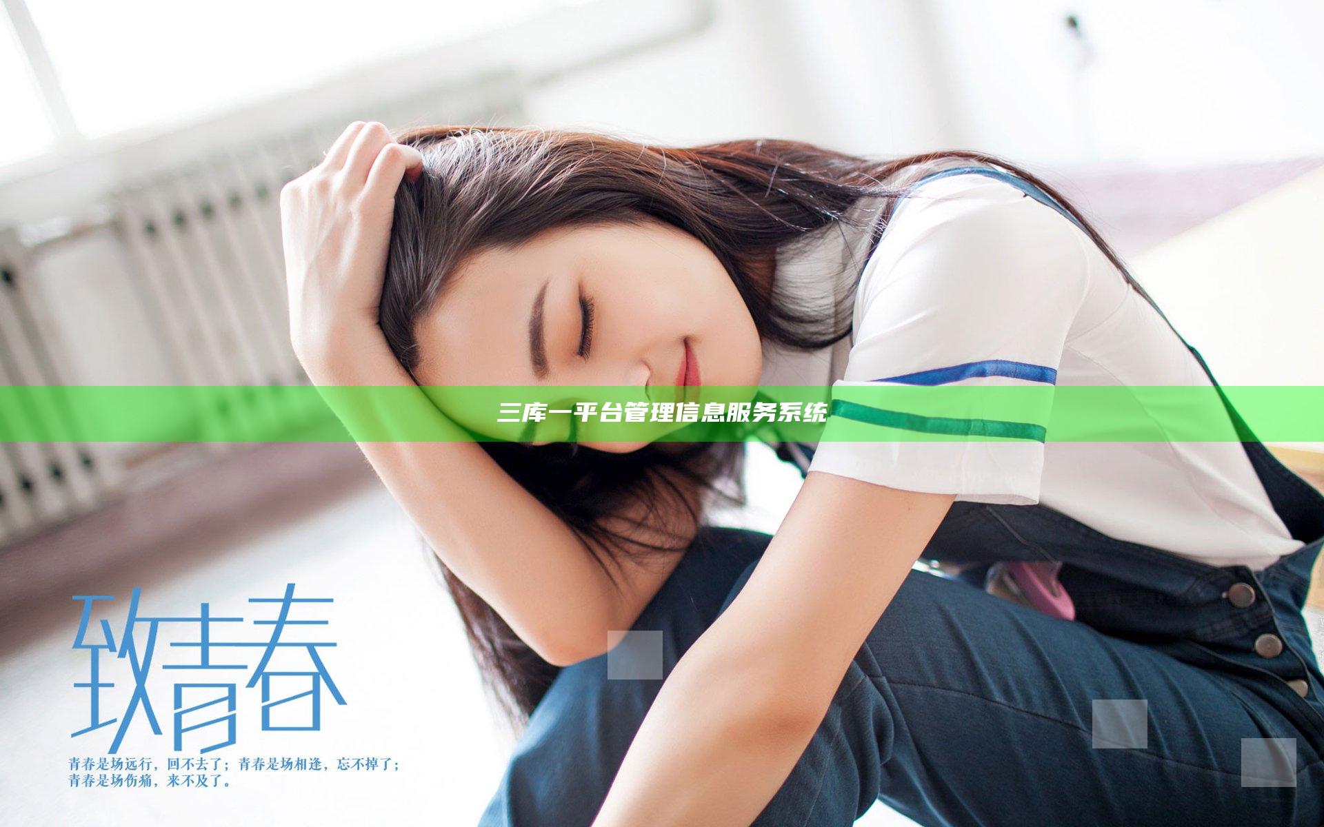 三库一平台管理信息服务系统