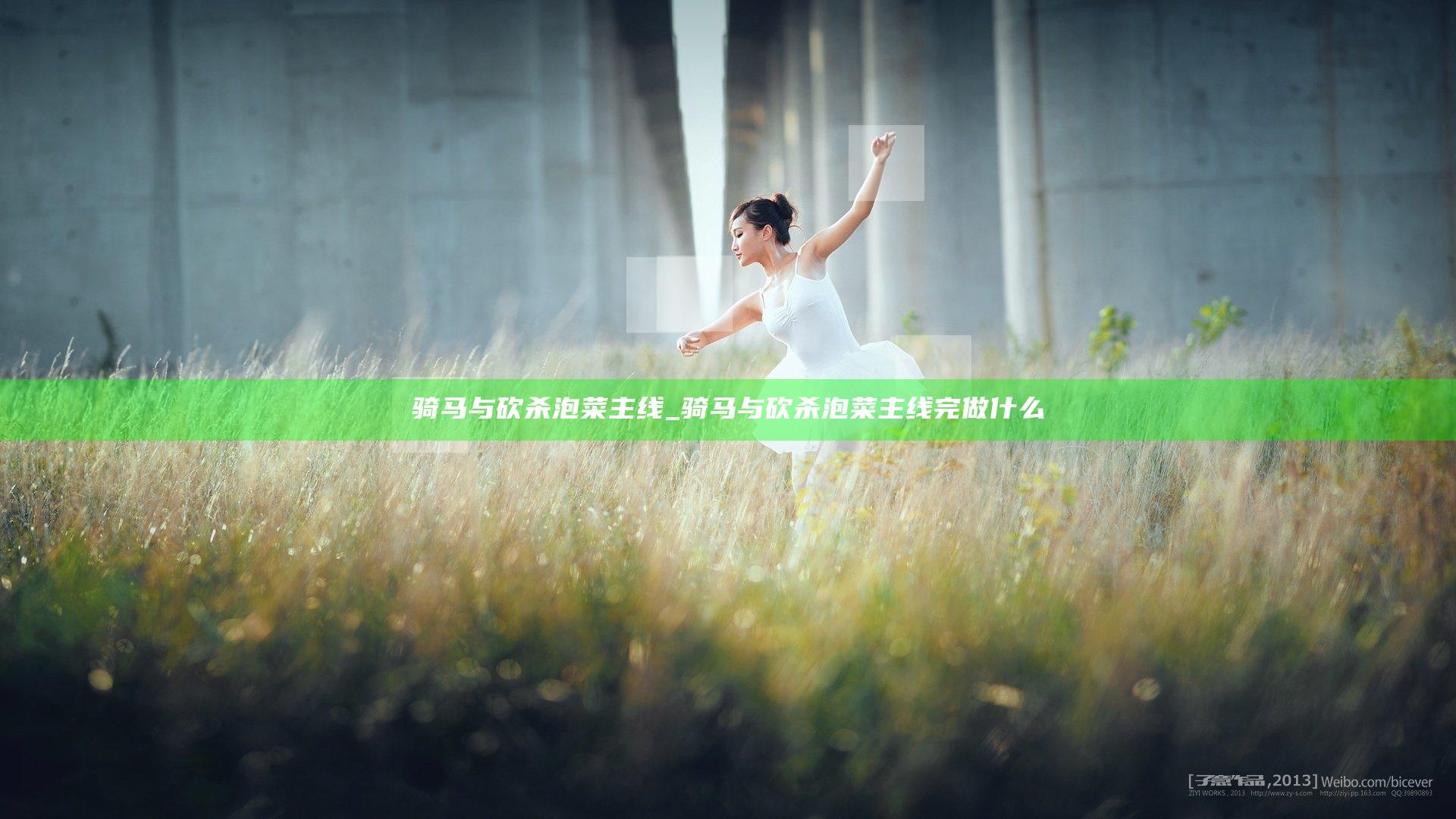 骑马与砍杀 泡菜主线_骑马与砍杀泡菜主线完做什么
