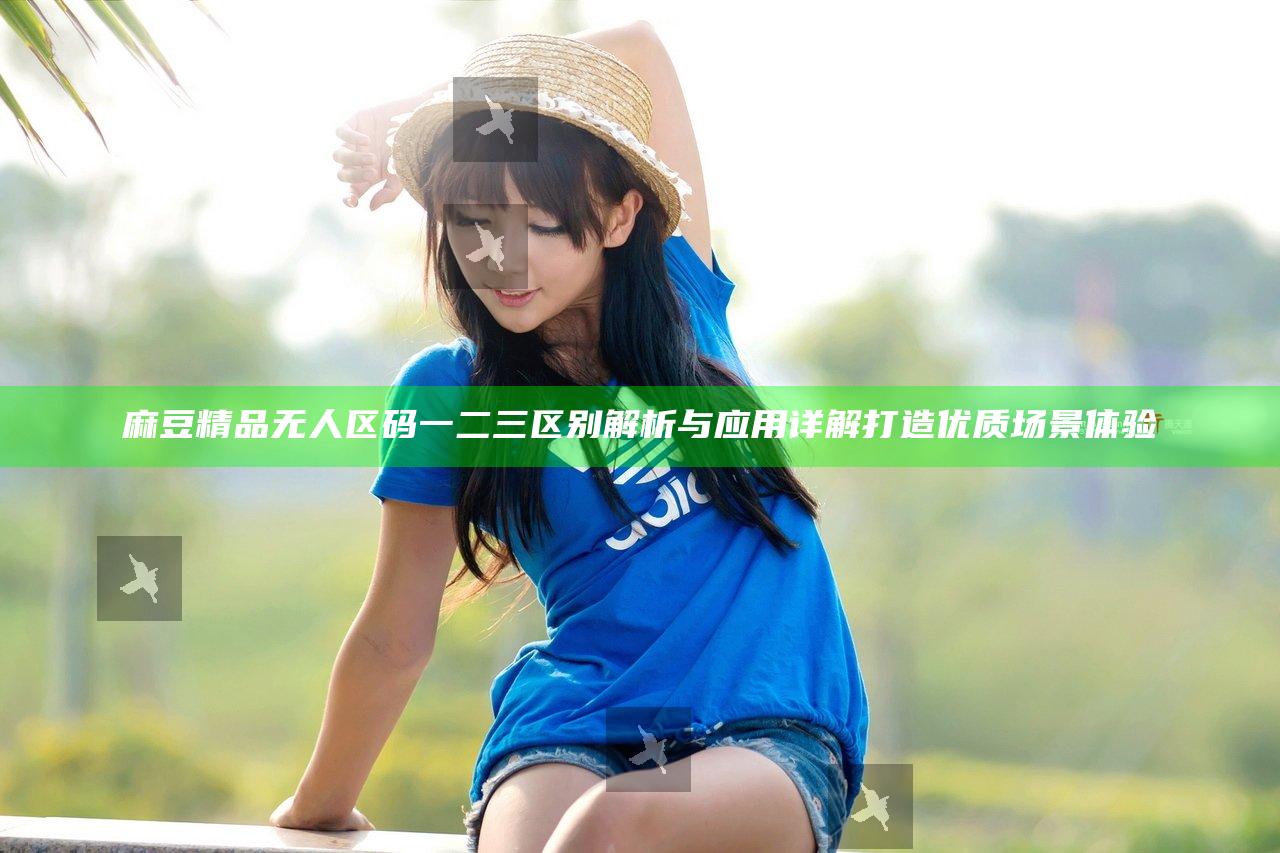 麻豆精品无人区码一二三区别解析与应用详解打造优质场景体验